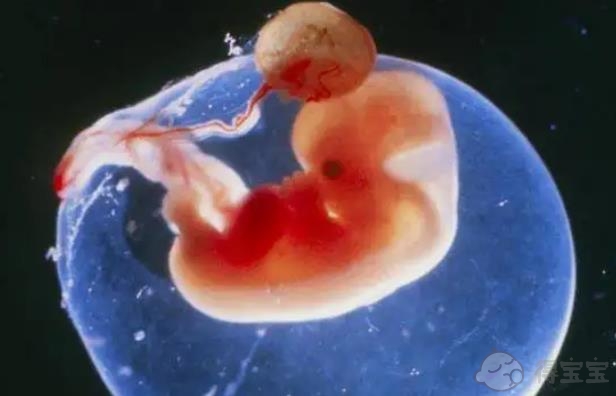 遵义47岁助孕生子：如果你在新鲜胚胎移植后感到腹胀，应遵循这4项预防措施。
